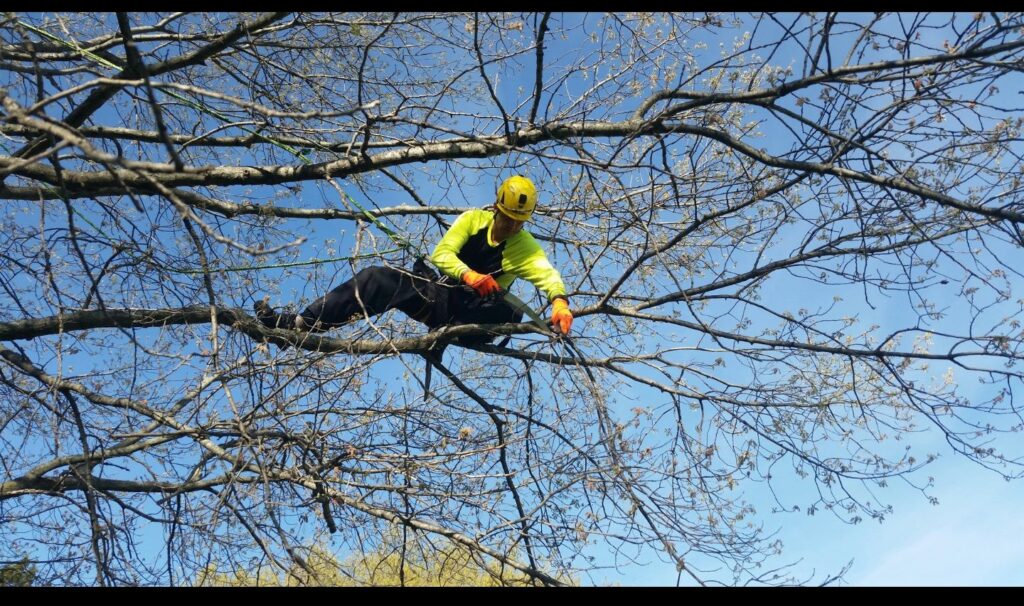A man in yellow jacket climbing up a tree.